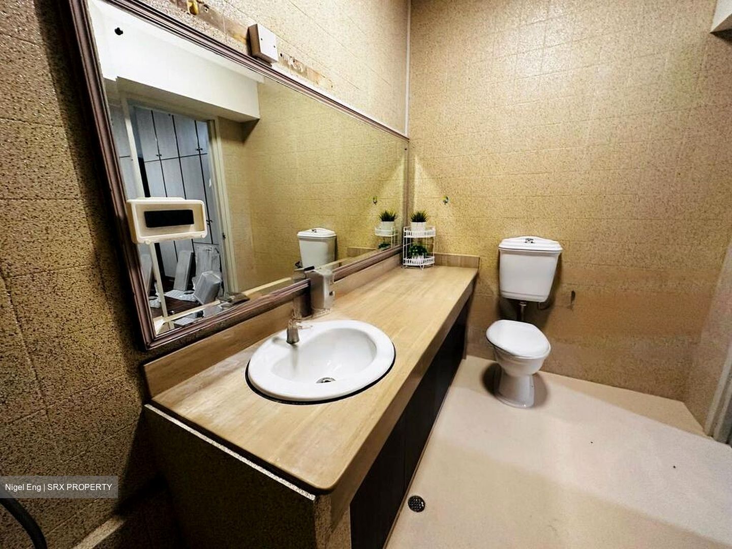 Bukit Timah Plaza / Sherwood Towers (D21), Apartment #523719741